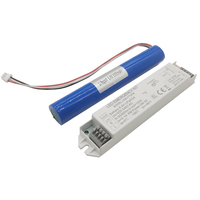 Kit de Iluminación de Emergencia LED con Paquete de Baterías Recargables, Convertidor de Salida Dual CA-CC, Carcasa de Plástico, Autoprueba