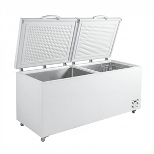 Congélateur coffre <span class=keywords><strong>BD</strong></span>-725Q à double porte, grande capacité 725L, ouverture par le haut, blanc, personnalisable – Offre spéciale - Product Image 1