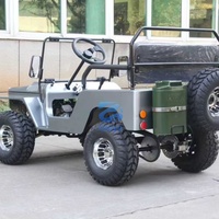 Véhicules d'occasion, Jeep 125cc, 150cc, 200cc, 300cc, mini jeep d'origine, mini jeep électrique pour enfants avec 2 sièges