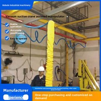 Lève-tubes pneumatique industriel Wenjin pour la manutention de cartons avec garantie de 3 ans, systèmes de levage ergonomiques