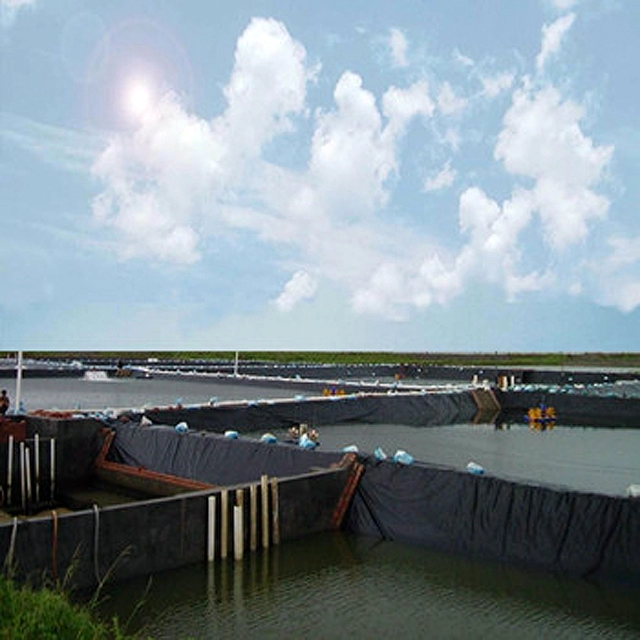 GRI GM13 HDPE Geomembrane Liner Pond 80 Mil Hdpe Liner 1.5mm