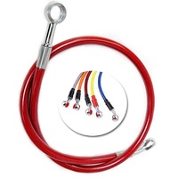 Manguera de Freno Hidráulico para Motocicleta, Color y Longitud Personalizables, Manguera de Aceite para Embrague, para ATV, Motocross
