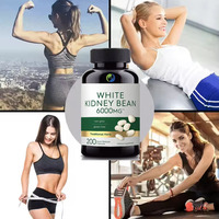 Capsules d'extrait de haricot blanc SPL OEM, complément minceur, extrait de thé vert halal, capsules de haricot blanc