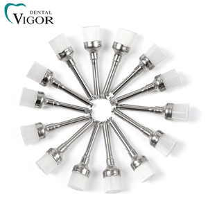 Cepillos de Profilaxis Dental, Cepillos para Tratamiento Dental, Herramienta para Pulir Dientes, Cepillo de Nylon - Product Image 1