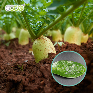 Polymer de stabilisation <span class=keywords><strong>du</strong></span> sol agricole, <span class=keywords><strong>acheter</strong></span> <span class=keywords><strong>du</strong></span> polyacrylate de potassium pour les plantations de vergers - Product Image 6