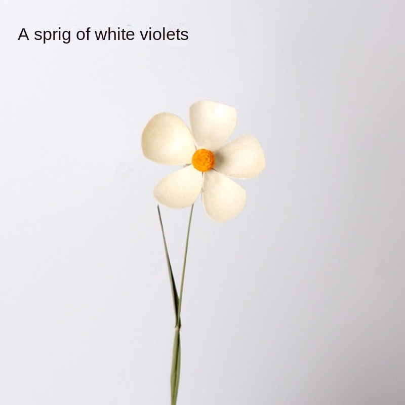 A White Violet [Send a Bundle of Flowers, Leaves and Hemp Rope]]