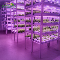 ZN 40HQ Grand Système Hydroponique Intelligent de Location Agricole, Serres Agricoles Multi-Span à Structure en Acier et Toit Triangulaire Super