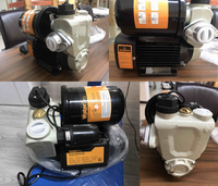 WATERPRO Pompa Air Taman, Pompa Air Taman Frais Sendiri Klasik untuk Rumah 125W 220V