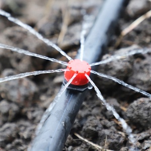 <span class=keywords><strong>Goutteur</strong></span> réglable en plastique rouge à 8 trous, émetteur d'irrigation <span class=keywords><strong>basse</strong></span> <span class=keywords><strong>pression</strong></span>, micro-<span class=keywords><strong>goutteur</strong></span> pour l'irrigation goutte à goutte des légumes, des fruits et des arbres fruitiers - Product Image 6