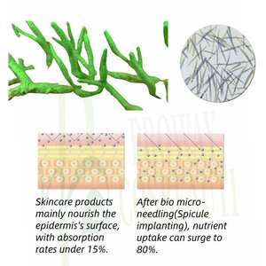 Super vente algues rouges soins <span class=keywords><strong>de</strong></span> la peau aiguille sérum algues éponge réparation <span class=keywords><strong>de</strong></span> la peau anti-âge pour peau d'algues <span class=keywords><strong>kit</strong></span> maison - Product Image 3