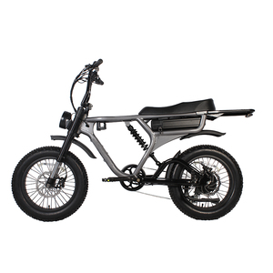 48V TO-LANDS 250W/500W/750W/1000W bicicleta eléctrica de neumáticos gruesos montaña ciudad Dirt <span class=keywords><strong>Cruiser</strong></span> carga eléctrica <span class=keywords><strong>EBike</strong></span> - Product Image 1