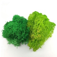 250 g de mousse naturelle véritable, mousse de lichen de renne préservée pour la décoration murale de la maison, mur vert, bureau, aéroport, décoration intérieure