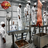 Machine de traitement automatique complète clé en main pour l'abattage de porcs, fournisseur d'équipements de boucherie pour abattoirs