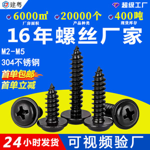304PWAM2M3M4M5 - Product Image 5