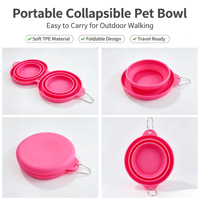 Bol de voyage pliable pour animaux de compagnie à double compartiment en TPE, pliable, pour chien et chat, avec crochet, distributeur de nourriture portable pour animaux de compagnie en plein air, approvisionnement en gros