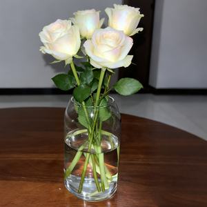 Alto borosilicato piccolo <span class=keywords><strong>vaso</strong></span> di vetro trasparente Mini <span class=keywords><strong>vaso</strong></span> di vetro per la decorazione della tavola per la casa <span class=keywords><strong>vaso</strong></span> minimalista - Product Image 6