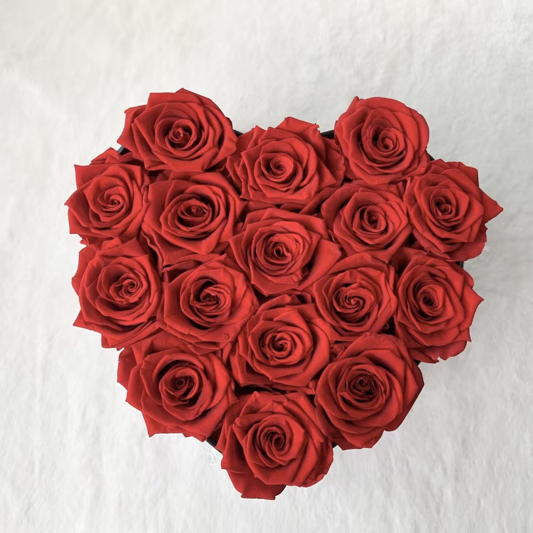 Rosso 16 Rose a Forma di Cuore