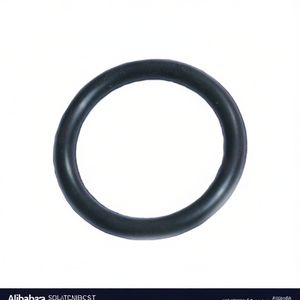 Joint torique d'étanchéité pour siège de vidange Monolith 2011 Kariba, longueur 9 cm, hauteur 1 cm - Product Image 3