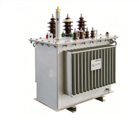 Transformateur abaisseur de tension série S20 - Type immergé dans l'huile, de 30 kVA à 2500 kVA - Transformateur électrique de haute qualité et économique