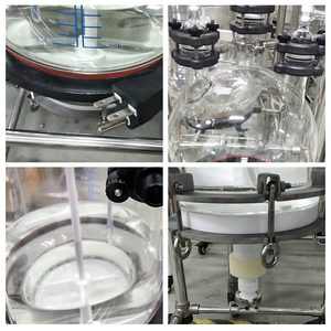 For 5L Automatic Reaction <b>Kettle</b> 600W 220V Lab Chemical Synthesis Vessel with Motor and Glass Reactor High Safety - Product Image 2