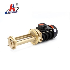 ปั๊มน้ำอุปกรณ์ต่อพ่วงคานแนวตั้งน้ำมันน้ำร้อนสูง - Product Image 4