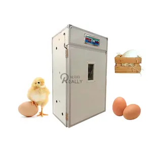 Fully Automatic Electric 12v Dc 110v 220v AC Power 192 256 320 Duck Goose Chicken Hatching Machine Eggs Incubator