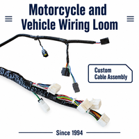 Produsen Kabel Harness Wiring HarnessODM OEM 	   Produsen Perakitan Kabel Kawat untuk Sepeda Motor dan Kendaraan
