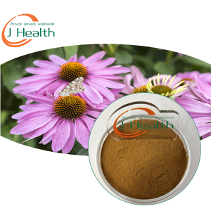 Polvo de extracto de equinácea <span class=keywords><strong>purpurea</strong></span> al mejor precio directo de fábrica con ácido chicórico - Product Image 1