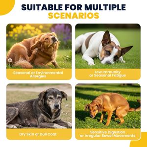 Probióticos para Perros con Prebióticos, Marca Privada OEM ODM, Promueve un Microbioma Intestinal Equilibrado, Refuerza la Salud Inmunológica, Masticables Blandos - Product Image 4