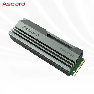 Asgard PCIe 4.0x4 NVMe M.2 SSD Gen 4 Hoch dichter DC 3D NAND Aluminium-Wärme verteiler M.2 2280 für Desktop-PC 5 Jahre Garantie
