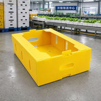 Emballage recyclable en PP ondulé, boîte de rangement en Corflute, bacs en plastique, boîte d'emballage, boîte en Coroplast pour fruits
