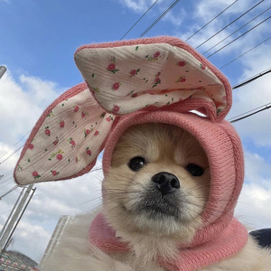 Gorro <span class=keywords><strong>de</strong></span> invierno para mascotas, gorro <span class=keywords><strong>de</strong></span> punto con orejas bonitas para cachorros, gorro para mascotas, visera para perros y gatos, accesorios para mascotas 2023 - Product Image 3