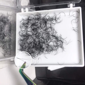 Élégance cils personnalisés préfabriqués 2D extensions de cils individuels professionnel noir 0.15mm application facile modèle boîte d'emballage OEM - Product Image 1