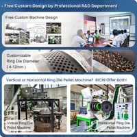 Machine à granulés RICH 1-20 T/H pour le chauffage au combustible biomasse