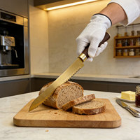 Ensemble de couteaux de cuisine professionnels en acier inoxydable personnalisés pour couper le steak et la viande pour le ménage et le chef avec poignée en plastique