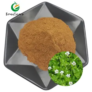 High Quality Bacosides 50% UV Brahmi Extract Bacopa Monniera Extract Powder