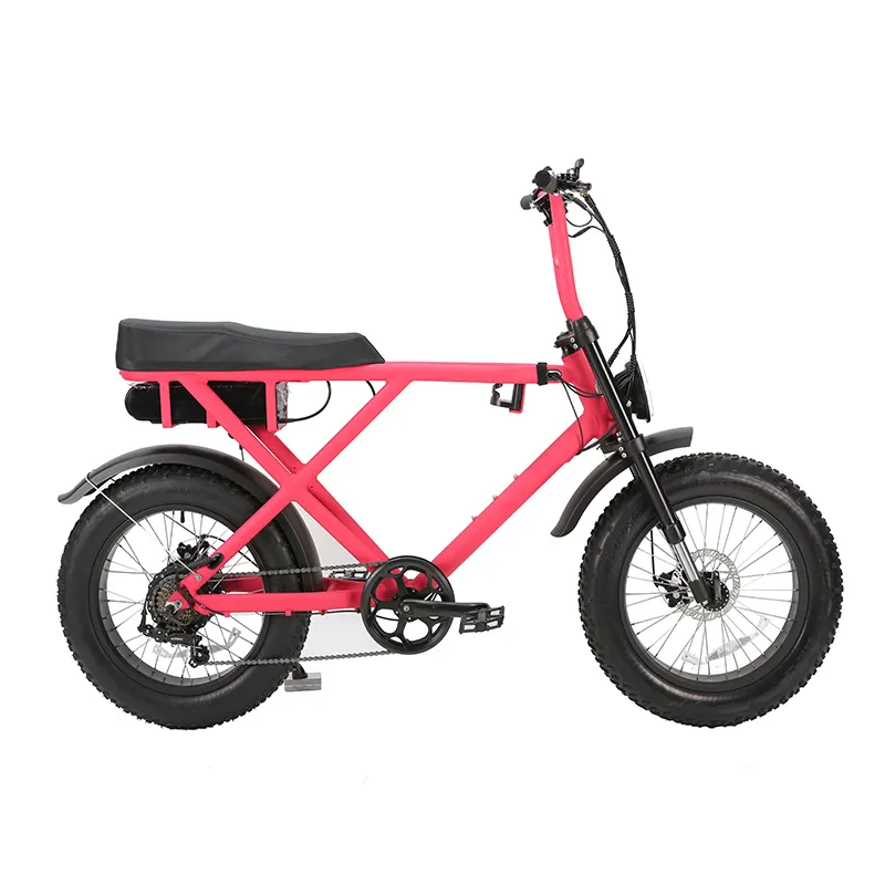 원래 더블 배터리 프로 accu 풀 서스펜션 Bicicicleta 전기 Ebike 지방 타이어 자전거 뚱보 전기 자전거 750W 1000W