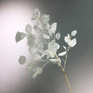 Vente en gros Décoration nordique moderne pour la maison <span class=keywords><strong>Lunaria</strong></span> artificielle à feuilles blanches Plante annuelle argentée pour mariage et Noël - Product Image 4