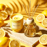 Bouteilles en verre à marque privée, emballage personnalisé, coffrets cadeaux, diffuseur de parfum d'ambiance, bougie parfumée de luxe en cire de soja et diffuseur