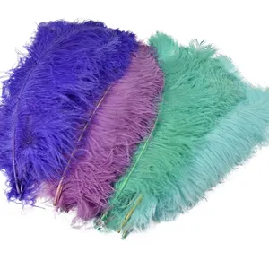 Menthe Naturel Plume Plumes D'autruche pour Fête Carnaval Maison Mariage Pièce Maîtresse De Noël Vase Vacances Décor DIY Artisanat Floral - Product Image 1