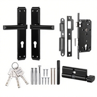 DoorShine Qualité Luxe Moderne Accessoires de porte et fenêtre Serrure à mortaise Poignée à levier long Fabricant Ensemble de poignées de porte