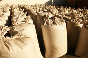 Té de Marca Blanca al por Mayor Fabricantes de Té Verde Chino <span class=keywords><strong>Azawad</strong></span> Té Chunmee Personalizado para Marruecos y Senegal - Product Image 4