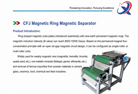 Séparateur magnétique à anneau à haute intensité à sec avec doubles rouleaux magnétiques puissants pour le traitement des minerais non métalliques