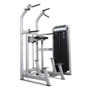Barra Monocromática Asistida para Ejercicios de Dips y Pull-ups en Club de Fitness, para Entrenamiento de la Parte Superior del Cuerpo - Product Image 2