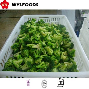 Hữu cơ và màu xanh lá cây iqf Rau kích cỡ khác nhau và hình dạng đông lạnh Bông Cải Xanh florets cho xuất khẩu - Product Image 4