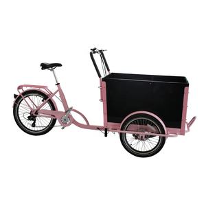 Bicicleta Eléctrica de Carga CE 250W 350W 500W, Bicicleta Holandesa Eléctrica, Bicicleta Eléctrica <span class=keywords><strong>Enduro</strong></span> para Campismo, Bicicleta Familiar de Carga de 3 Ruedas, Bakfiet - Product Image 3