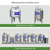 Machine de Pasteurisation à Froid Flash pour Œufs, Mini 500 Litres, Pasteuriseur de Liquides et Jus de Pomme pour Crème Glacée