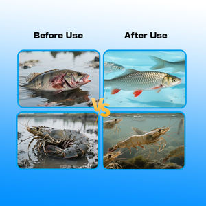 Stress Quick Resistance Fish: Aditivo Alimentario y Estimulante del Apetito con Amino<span class=keywords><strong>ácido</strong></span>s y Vitaminas - Product Image 5