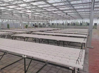 Systèmes hydroponiques de culture intérieure, légumes pour airsoft, toutes tailles, serre pour tomates