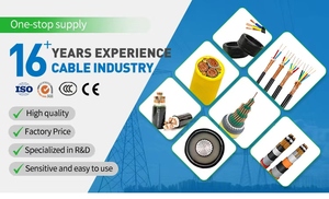 Cavo di Alimentazione Industriale RVV in Rame 1.5mm-10mm, Multicore con Isolamento XLPE Solido, Supporto OEM/ODM, Scelta Migliore del Produttore - Product Image 4
